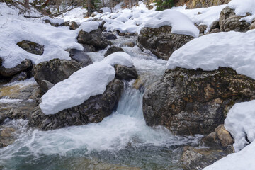 Flowing creek under the heavy snow