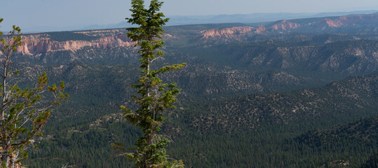 Bryce Canyon: A Symphony of Hoodoos and Nature's Artistry
Experience the otherworldly beauty of Bryce Canyon, where towering hoodoos and vibrant rock formations create a stunning amphitheater of natur