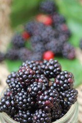 Freshly picked juicy ripe blackberries