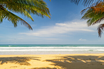 Fototapeta premium Summer background of Coconut Palm trees on white sandy beach Landscape nature view Romantic ocean bay with blue water and clear blue sky over sea at Phuket island Thailand.