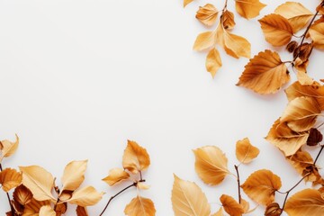 Thanksgiving and Autumn decoration concept made from autumn leaves on white background with copy space, top view.