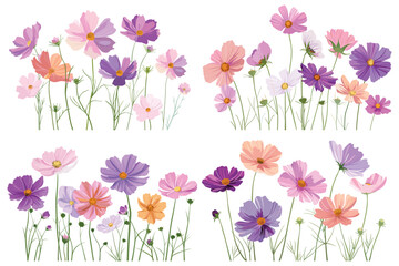 Pink and red cosmos flowers,  Set of pink cosmos flowers, Set of cosmos flower collection, Decorative floral design elements, Beautiful cosmos flowers on white background