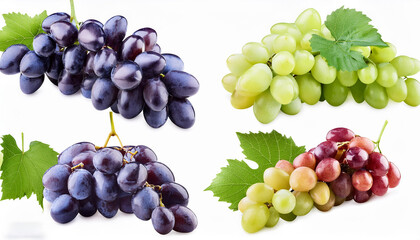 Obraz premium ripe grape cluster with leaves removed