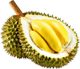 Obraz premium Durian fruit open