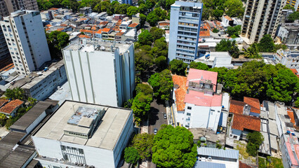 amazing shot of a street full of trees