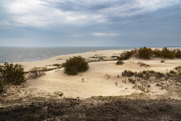 View of Dune Ridge and Curonian Lagoon from Efa height in Curonian spit national Park. Russia