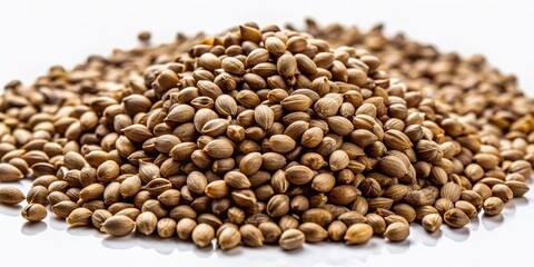Close-up of hemp seeds scattered on a pure white background, showcasing their natural brown color and unique texture in high contrast and sharp focus.