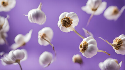 A bunch of white flowers are flying through the air
