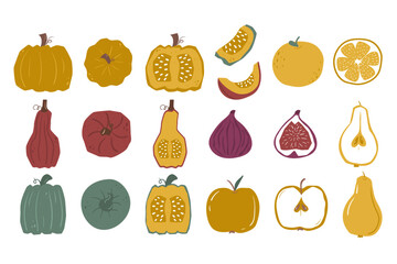 Set of autumn harvest pumpkins, apples, orange, fig and pear in flat minimalistic style. Vector illustration top view, full and in section.