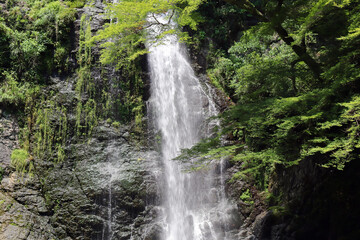 箕面大滝