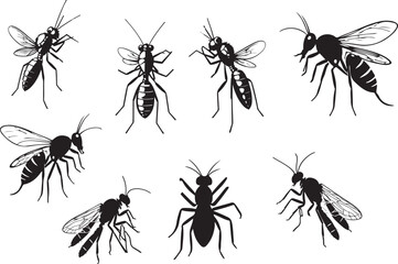 Set of Black and White Ant and Insect Silhouettes, Vector Illustration