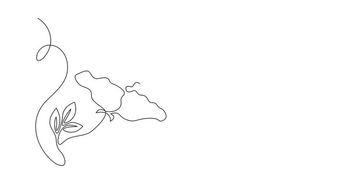 Peony flower, drawn as a continuous line in minimalism, online artistic animation, continuous motion of the outline of the drawing, video of drawing with a line in 4k format