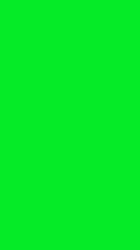 abstract white brush stroke animation. paint brush texture overlay animation, vertical green screen background