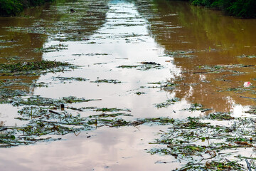 View of irrigation canal with weeds and debris flowing together with strong flowing dirty brown water due to soil and mud from forest after heavy rains and floods. La Nina crisis, Water pollution.
