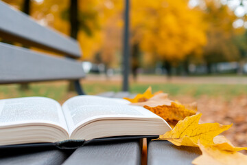 Open Book on Park Bench with Autumn Leaves