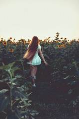 Girl looking at big sunflowers in a sunflower field