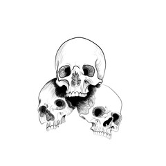 skull on black
