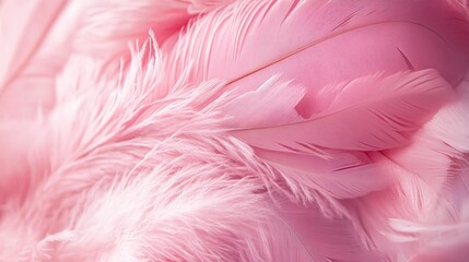 Obraz premium Elegant Design Featuring a Background of Soft Pink Feather Texture