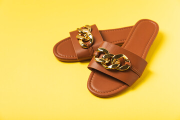 Trendy women's shoes on a bright colored background. Stylish slippers. Women's summer sandals. Top view. Place for text. Copy space.