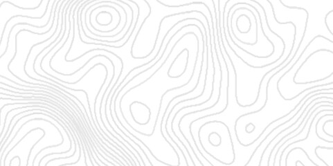 Fototapeta premium White wave paper curved reliefs abstract background,Line topography map contour background, geographic grid.paper texture Imitation of a geographical map shades ,