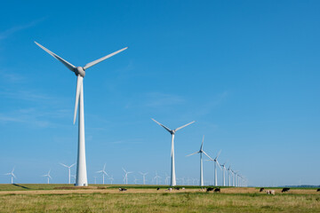 Majestic Windmill Park Under a Clear Sky in the Netherlands at Sunset