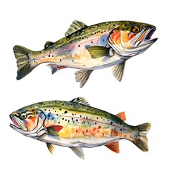 Rainbow Brook Cut Throat Golden Brown Trout Digital Artwork Illustration Wall Art Print Design Fishing Fish Angler Fish Art