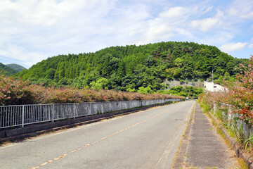 箕面川ダムの天端