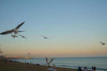 Barcelona Beach