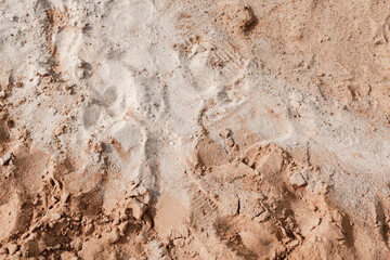 Background of beige, brown beach sand with natural pattern background. top view, flat lay