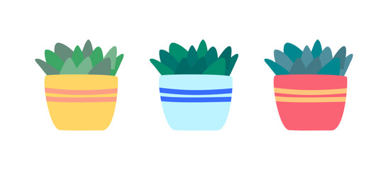 Cartoon Color Indoor Succulents Pot Set Interior Element Concept Flat Design Style Isolated on a White Background. Vector illustration of Echeveria Cactus