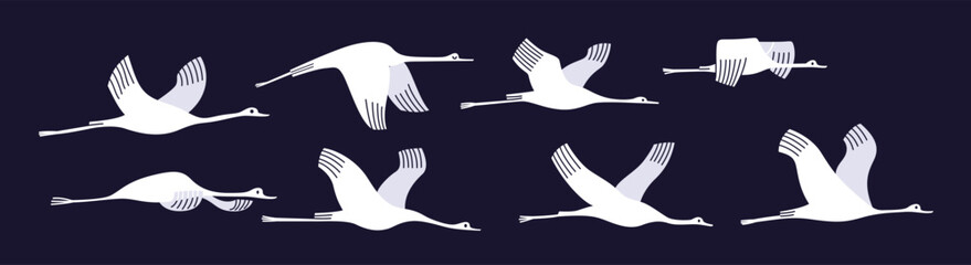 Set of storks in flight. Vector illustration