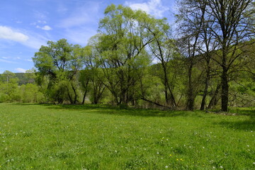 Landschaft im Sinntal zwischen Burgsinn und Rieneck, Landkreis Main-Spessart, Unterfranken, Franken, Bayern, Deutschland