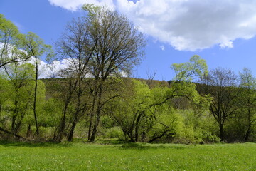 Landschaft im Sinntal zwischen Burgsinn und Rieneck, Landkreis Main-Spessart, Unterfranken, Franken, Bayern, Deutschland