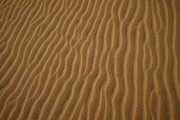 Dunes and sand at Namibian coast