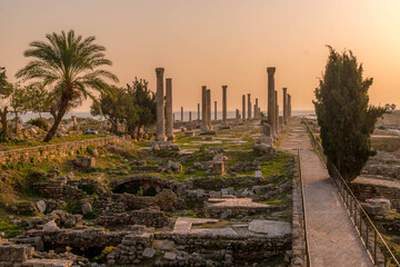 The old columns at Al Mina archeological site at Tyre (Sour), Lebanon, an old historical landmark, during the beautiful sunset.
