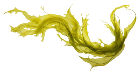 PNG Swaying kelp seaweed white background splattered abstract.