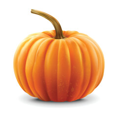 Realistic pumpkin isolated white background, vector realistic, autumn illustration