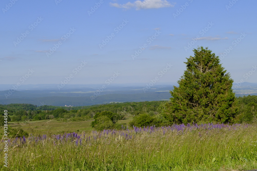 Sticker Das Naturschutzgebiet Lange Rhön in der Kernzone des Biosphärenreservat Rhön, Bayerischen Rhön, Landkreis Rhön-Grabfeld, Unterfranken, Bayern, Deutschland