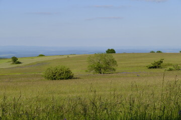 Das Naturschutzgebiet Lange Rh&ouml;n in der Kernzone des Biosph&auml;renreservat Rh&ouml;n, Bayerischen Rh&ouml;n, Landkreis Rh&ouml;n-Grabfeld, Unterfranken, Bayern, Deutschland