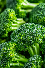 Closeup of broccoli florets showcasing the vibrant green buds and intricate textures of the vegetables surface 