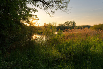Sonnenuntergang im Vogelschutzgebiet NSG Garstadt bei Heidenfeld im Landkreis Schweinfurt, Unterfranken, Bayern, Deutschland