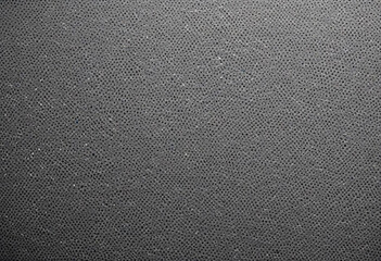 Grainy black and white image with a textured, dotted pattern across the entire frame 