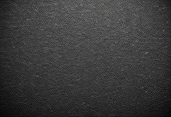 Grainy black and white image with a textured, dotted pattern across the entire frame 