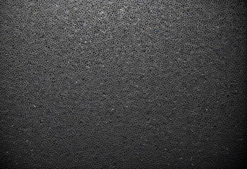 Grainy black and white image with a textured, dotted pattern across the entire frame 