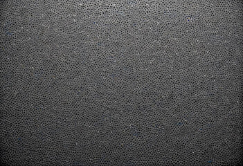 Grainy black and white image with a textured, dotted pattern across the entire frame 