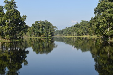 A perfect lake reflection in the jungle and rainforest around Chitwan, Nepal