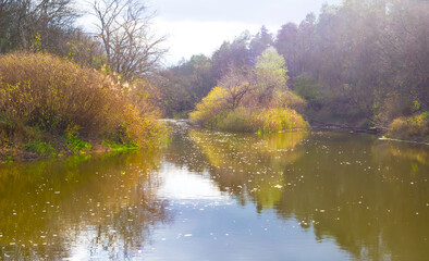 calm river with forest on coast at the autumn sunny day