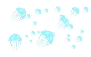 background of a group of
blue jellyfish marine animals without background