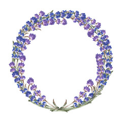 Lavender. A wreath of lavender. A round frame made of purple flowers. A hand-drawn watercolor illustration. Highlight it. An element of the design of packaging, postcards and labels.