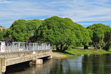 Fototapeta premium Charming bridge decorated with flowers spans over river, with lush green trees in background under partly cloudy sky